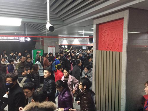  郑在限行第一天，新能源将成为最大赢家
