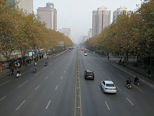  郑在限行第一天，新能源将成为最大赢家