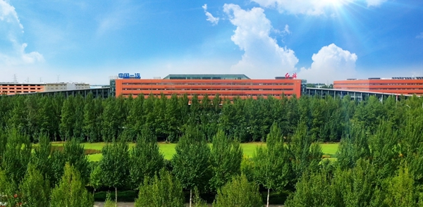 a12.jpg