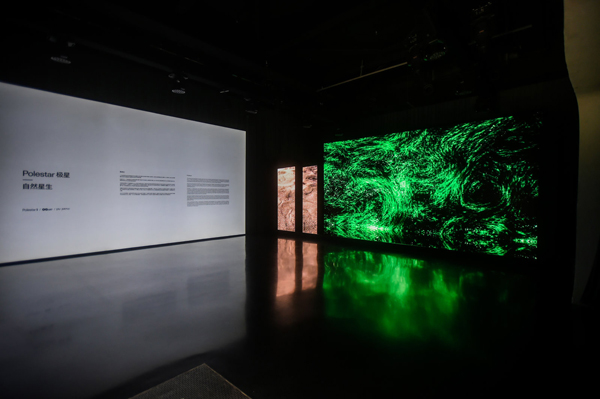 极星以艺术的形式展现可持续发展-4.jpeg