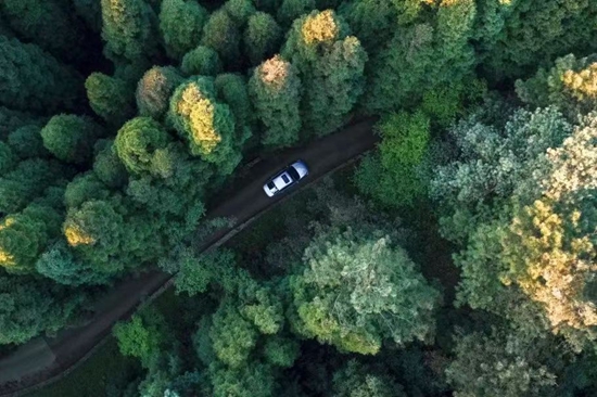 a5.jpg