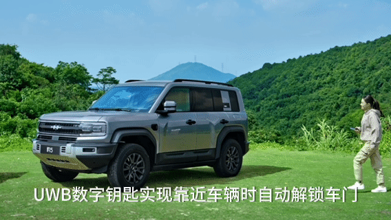 豹5456.gif