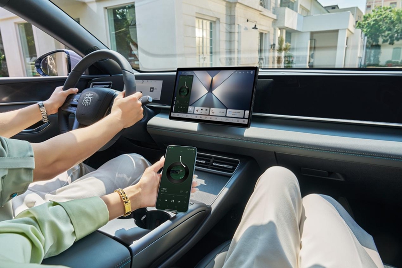 1761300473621928.jpg 07.jpg