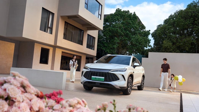 1761302183899876.jpg 04.jpg