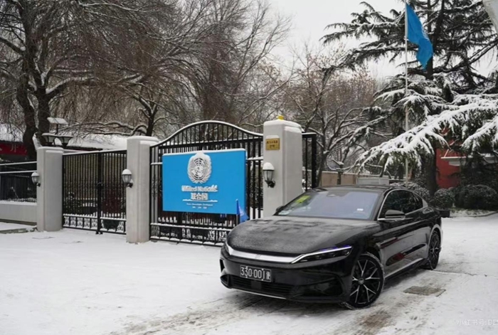 1764845806865298.jpg 1.jpg