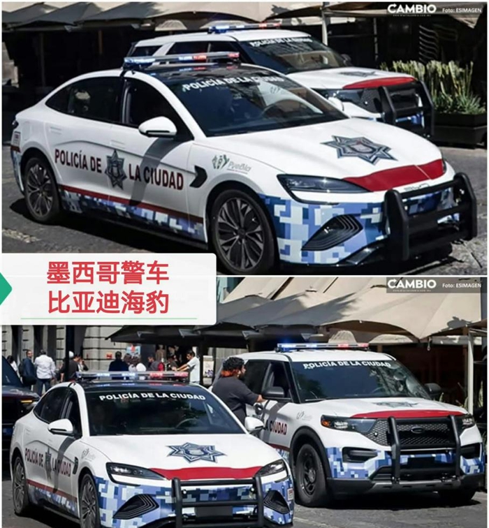 1764845819880556.jpg 2.jpg