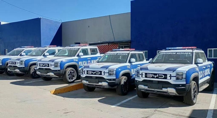 1764845826940513.jpg 3.jpg