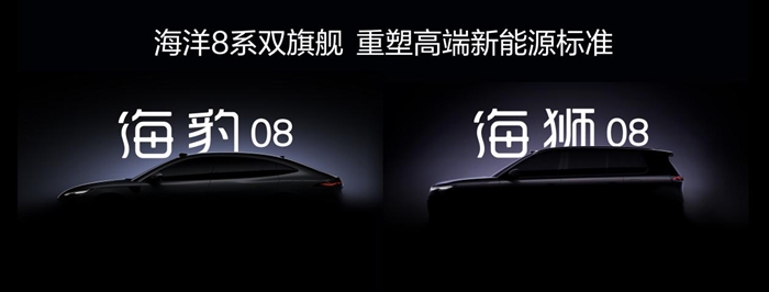 1765850137228877.jpg 4.jpg