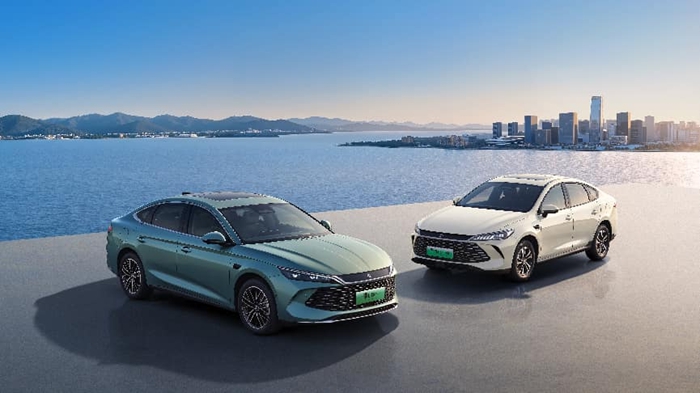 1767924882417276.jpg 03.jpg