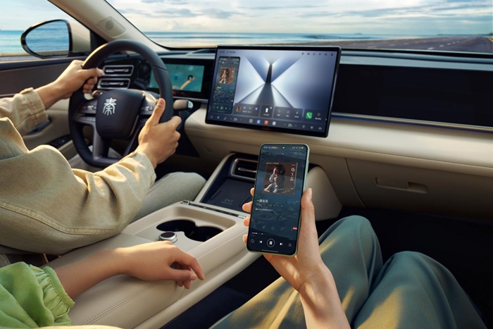 1767924909191740.jpg 06.jpg