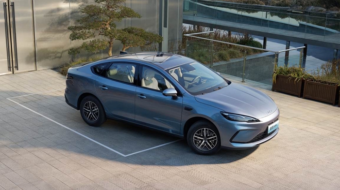 1768276736816649.jpg 4.jpg