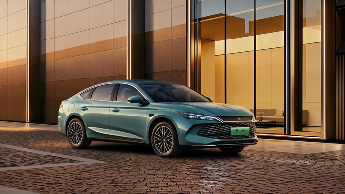 1768729780827575.jpg 7.jpg