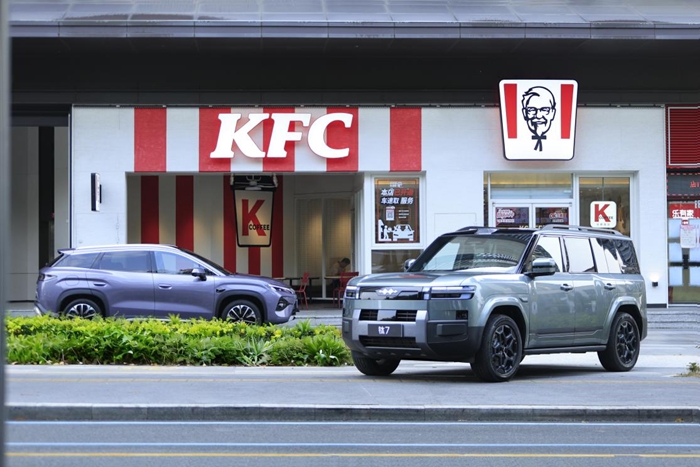 1775810042157953.jpg 3.jpg